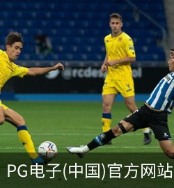 PG案例